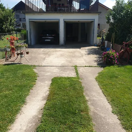 Guga * Novi Sad